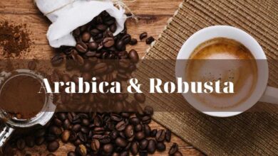 قهوه عربیکا و روبوستا