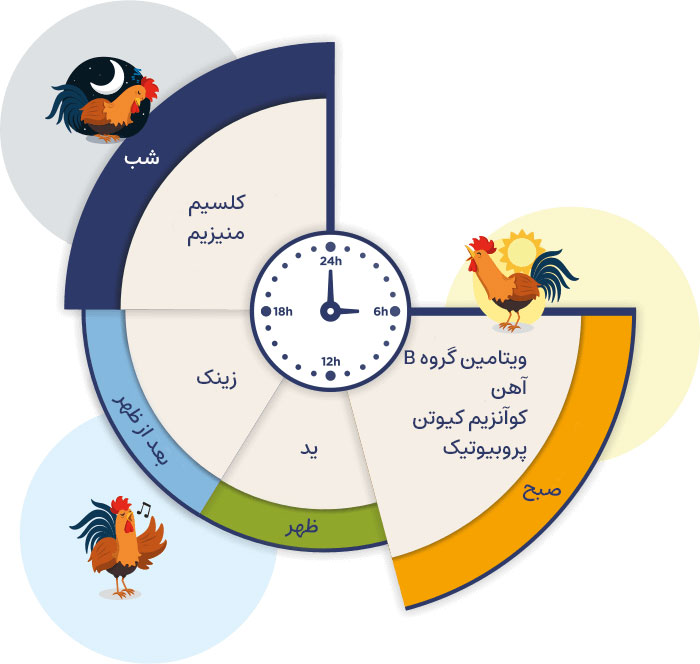 بهترین زمان مصرف مکمل ها و ویتامین ها