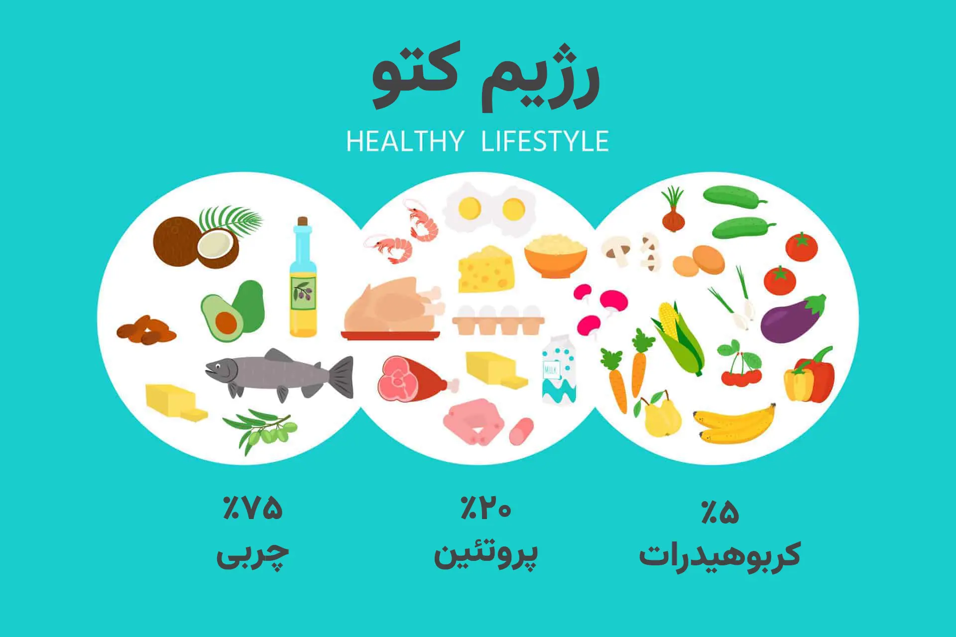 اینفوگرافی رژیم کتو